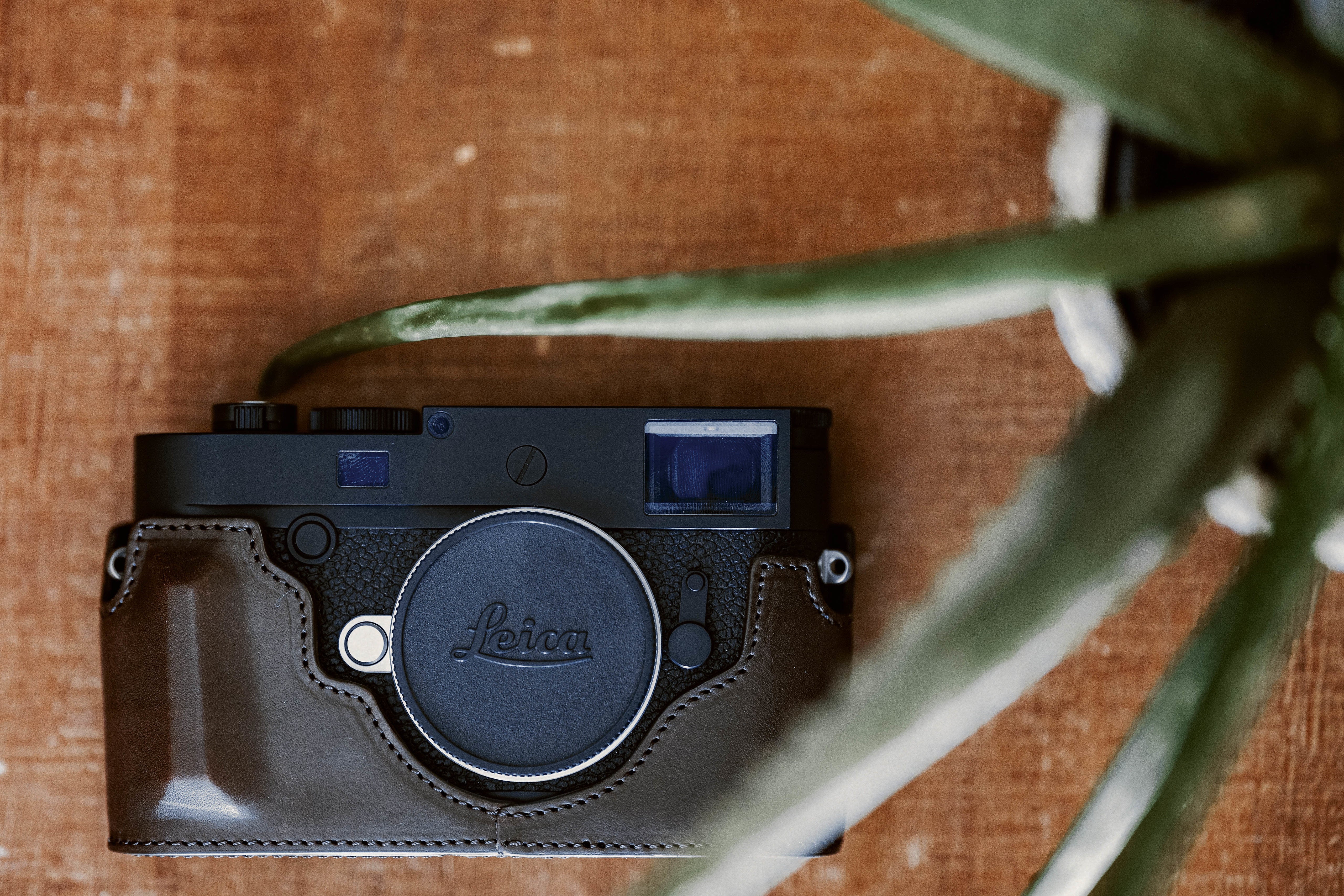 Die Psychologie der Farbe in der Fotografie: Einsatz der Leica Farbwissenschaft