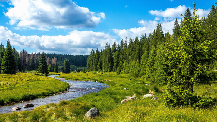 Top 5 unberührte Orte für Naturfotografie