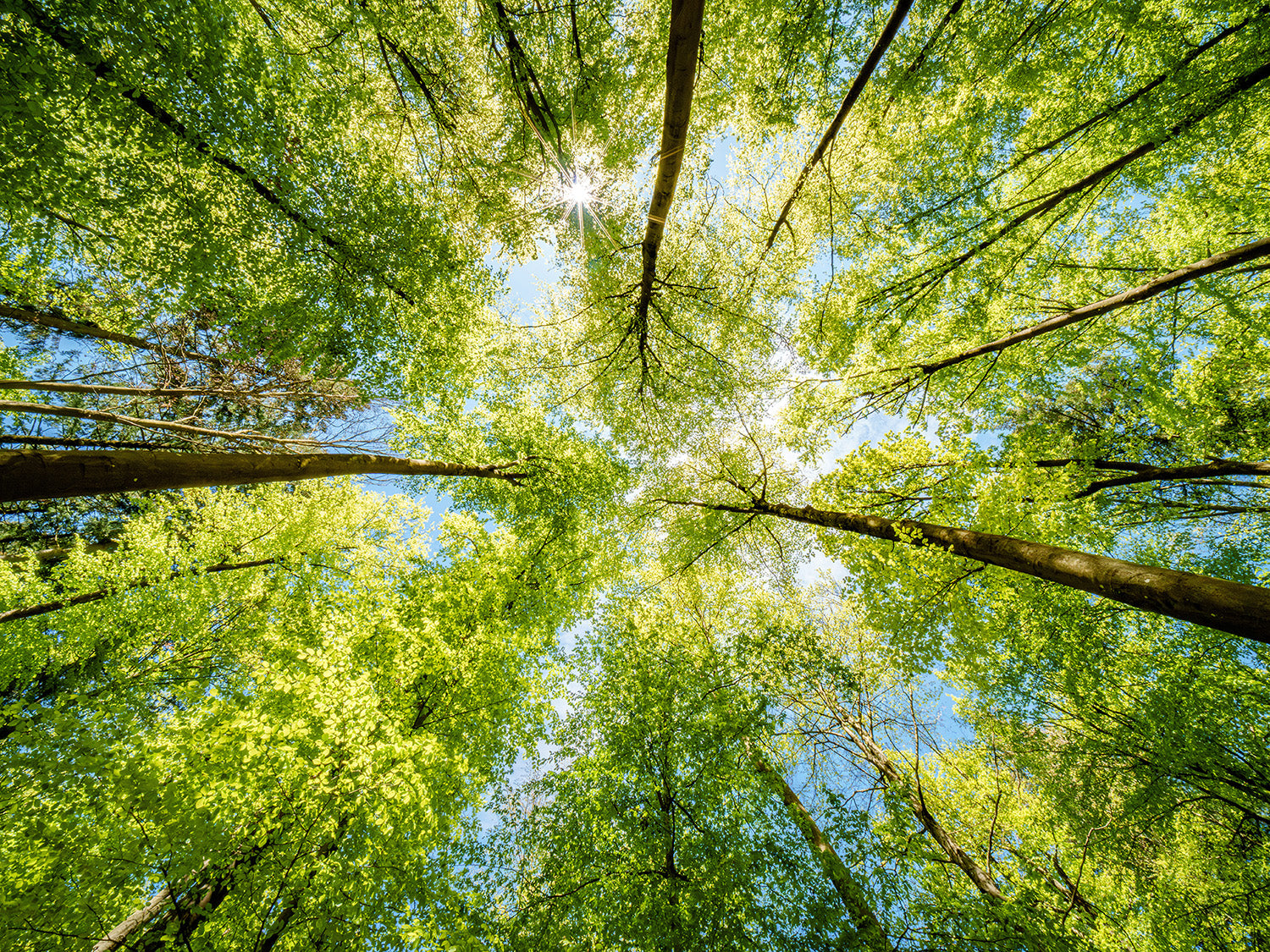 Mit Hasselblad die Natur erkunden