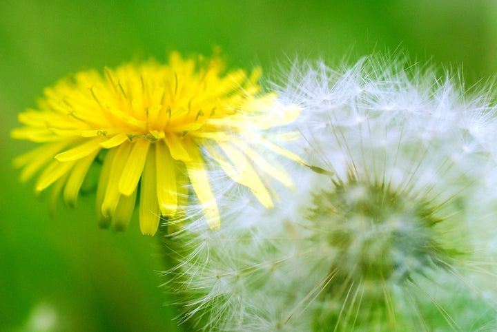 Mehrfachbelichtungen: Kreative Effekte in der Fotografie