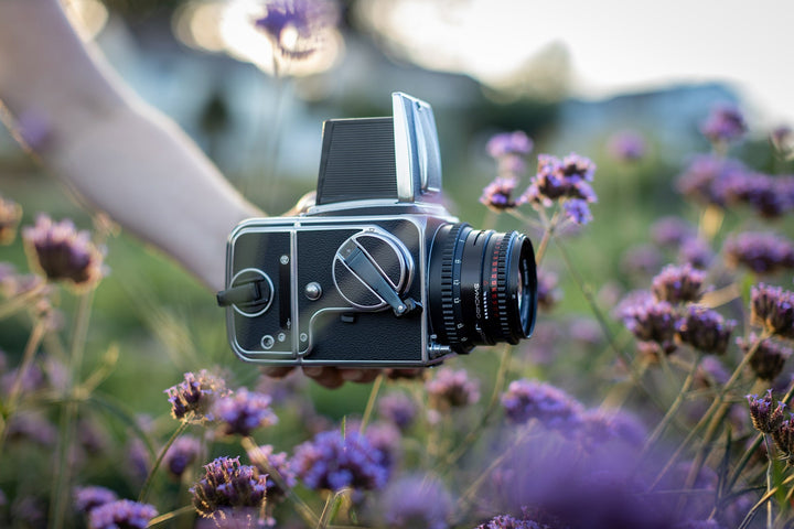 Die Schönheit des Mittelformats: Hasselblad im Fokus
