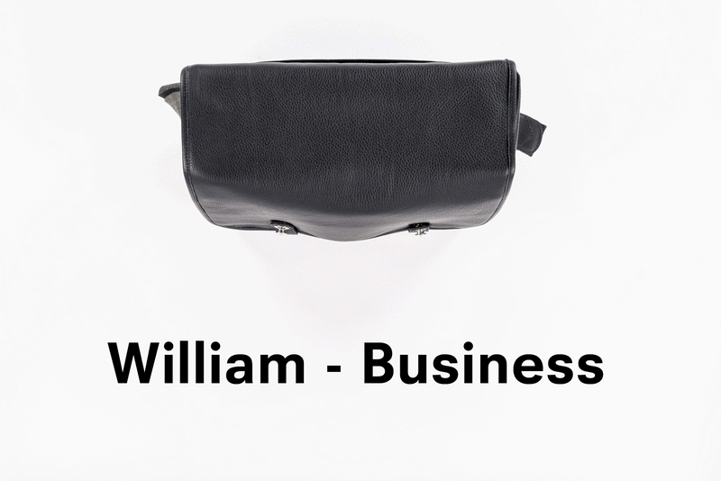 Kameratasche und Messenger Bag WILLIAM