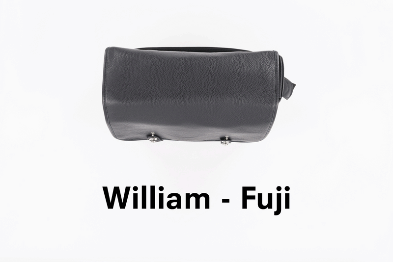 Kameratasche und Messenger Bag WILLIAM Red Dot